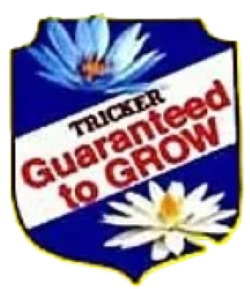 shield guarantee