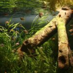 Fish swimming through plants