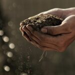 Hands holding soil
