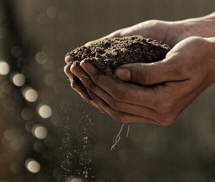 Hands holding soil