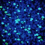 cluster of blue and green specks