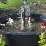Pond with skeleton