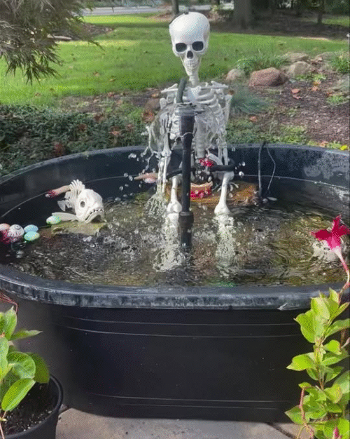 Pond with skeleton