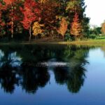 Large pond with bubbles coming up