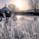 Pond partly frozen over.