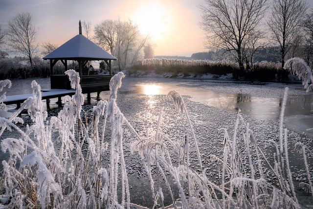 Pond partly frozen over.