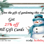 Holiday gift cards