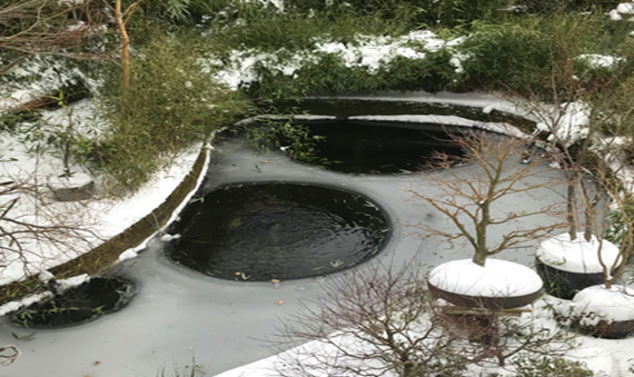Frozen pond with 3 melted holes in ice