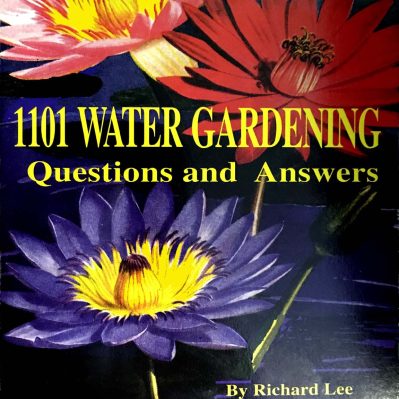 1101 Water Gardening Questions and Answers book by R F Lee