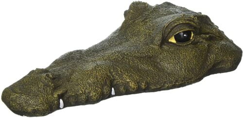 Floating Alligator Head - Closed Mouth, resin