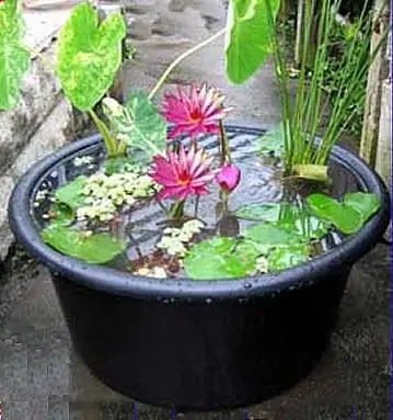 Black Water Garden Tub