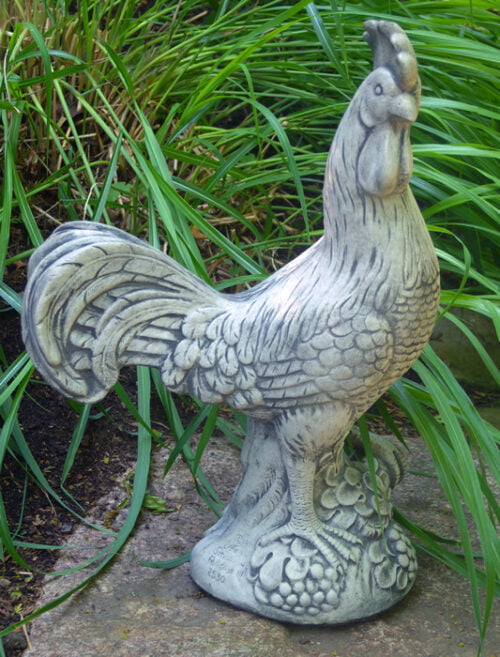 Rooster Provence