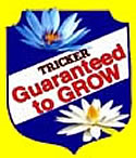 Guarenteed to grow