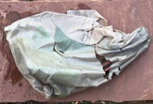 Plant wrapped in wet paper.