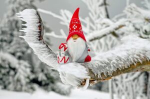 Santa's Elf in Tree Gift Card