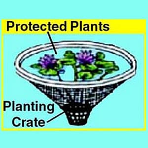 Soil and Plant Protector