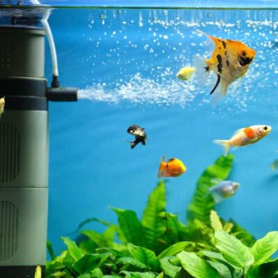 Aquarium Air Pumps & Accessories