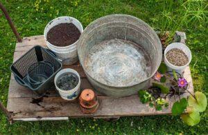 Prepare for creating a tub water garden.