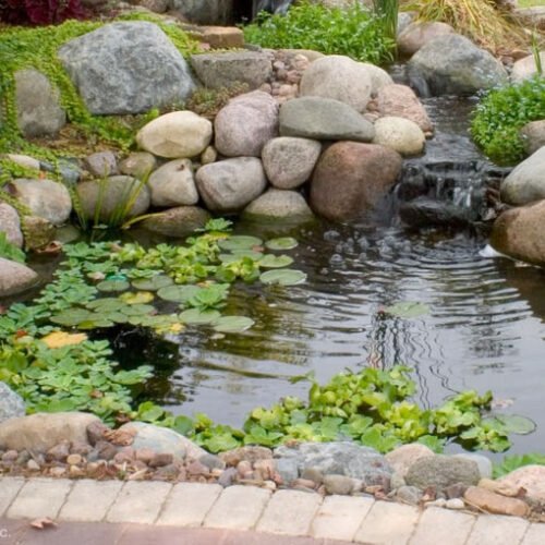 Pond Liner Kit with Waterfall Showing Finished Pond