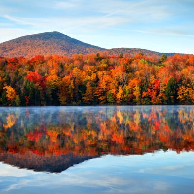 Fall and Winter Pond Supplies