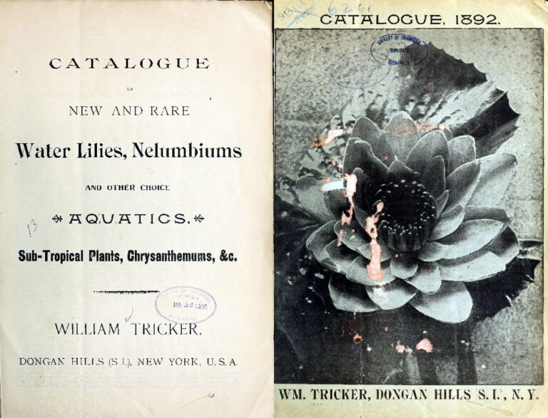 1892 William Tricker’s First Mail-Order Catalog