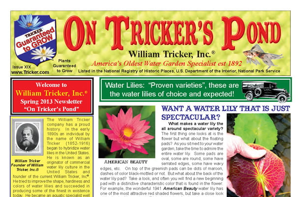 2013 On Tricker’s Pond Newsletter