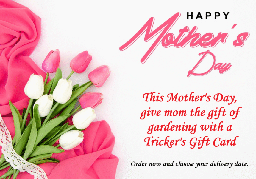 Mother's Day Gift Card promo banner
