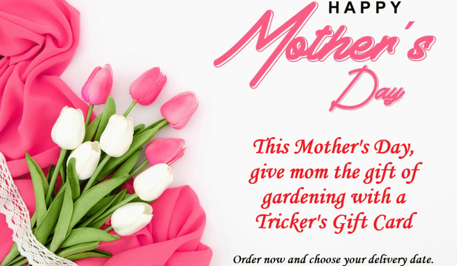 Mother's Day Gift Card promo banner