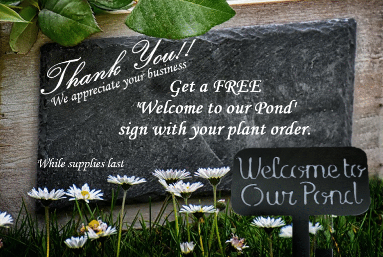 Banner for free Welcome to our Pond sign