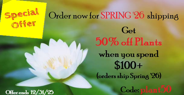 50% Plant Promo 50% Plant Promo banner
