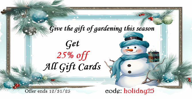Holiday Promo 25 gift card promo banner for holiday 2025