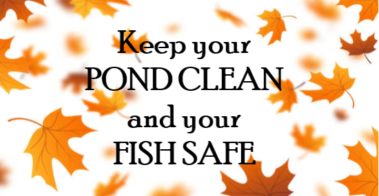 Fall & Winter Pond Supplies 1 Fall & Winter Pond Supplies banner 1