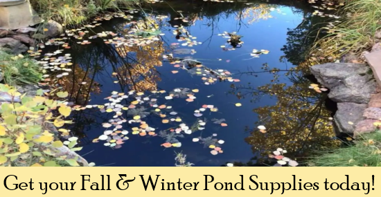 Fall & Winter Pond Supplies 2 Fall & Winter Pond Supplies banner 2