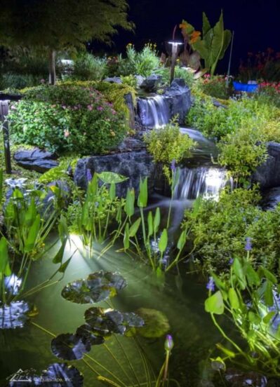 Garden and Pond Lights srcset=
