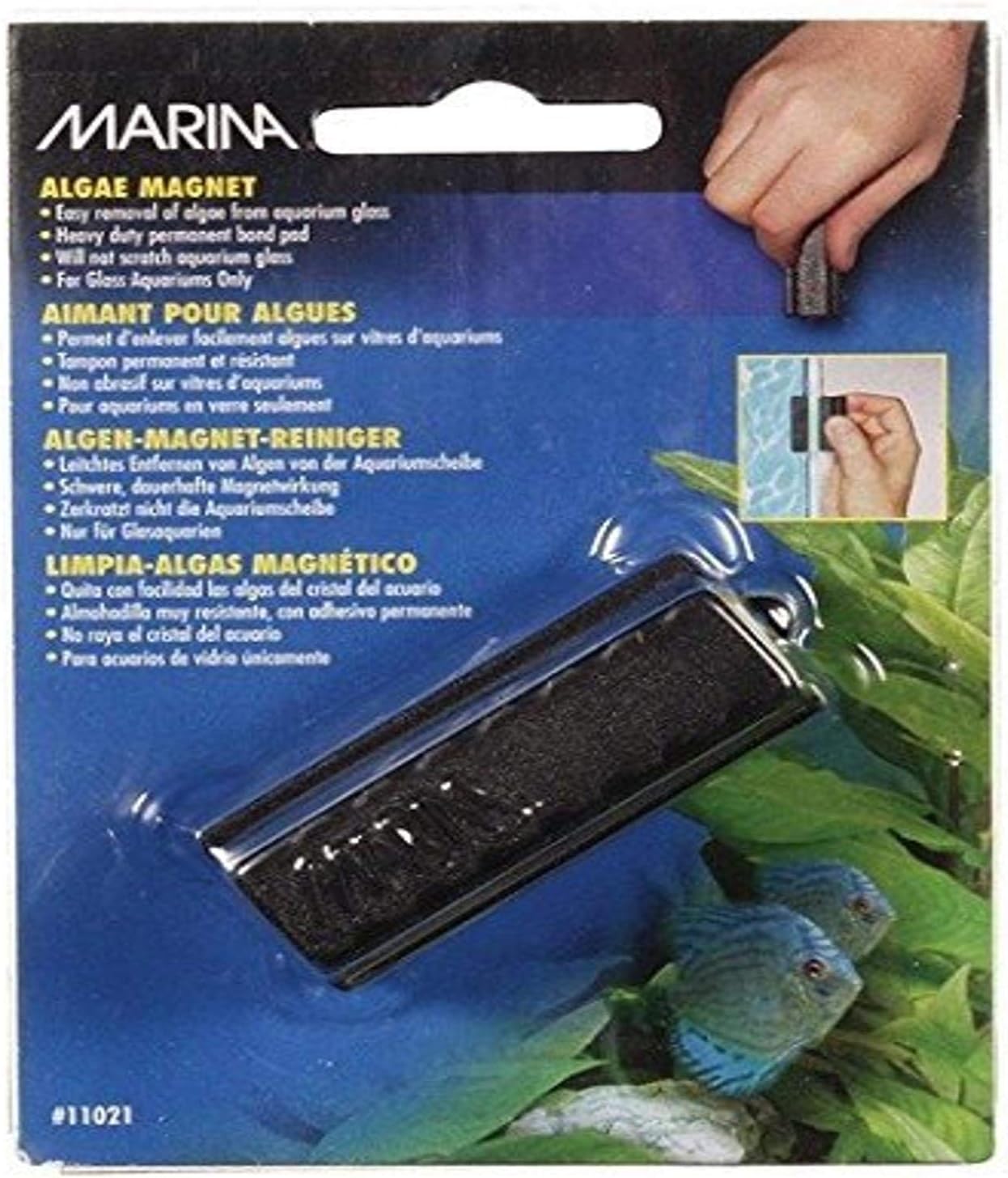 small algae magnet